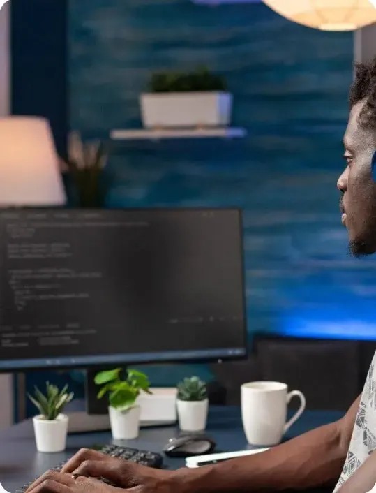 Developer